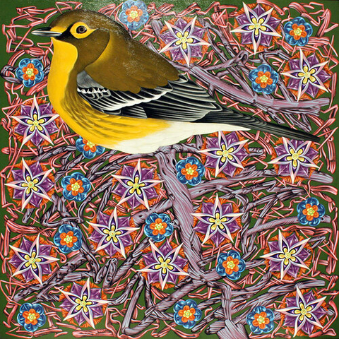 Painting of a yellow pine warbler bid on virgin's bower flower.