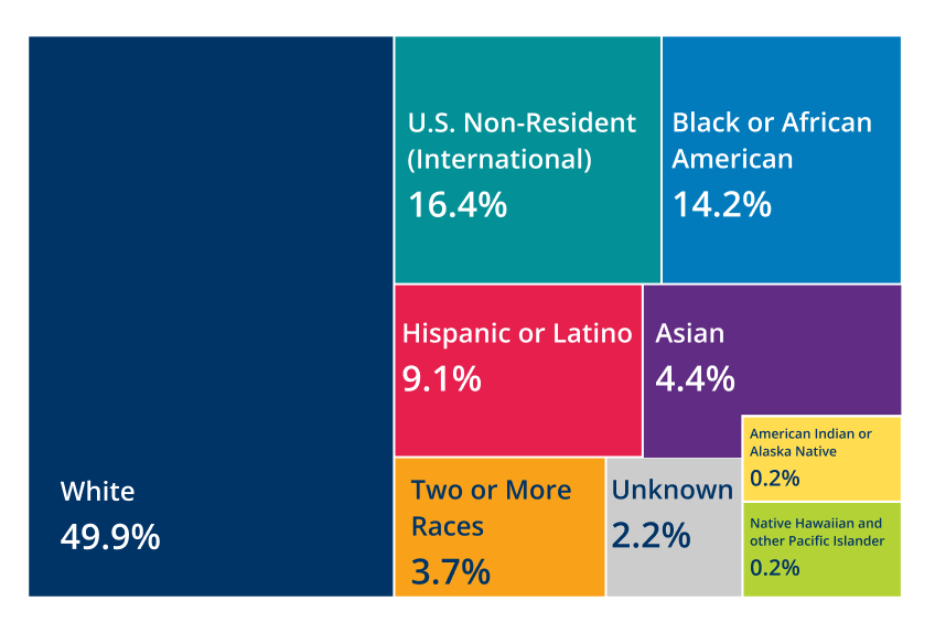 Treemap chart showing student demographic percentages by race and ethnicity categories.