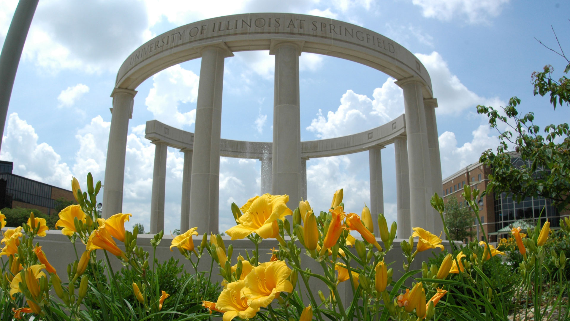 UIS Colonnade in background with daffodils in front with a blue/purple/pink/yellow gradient.