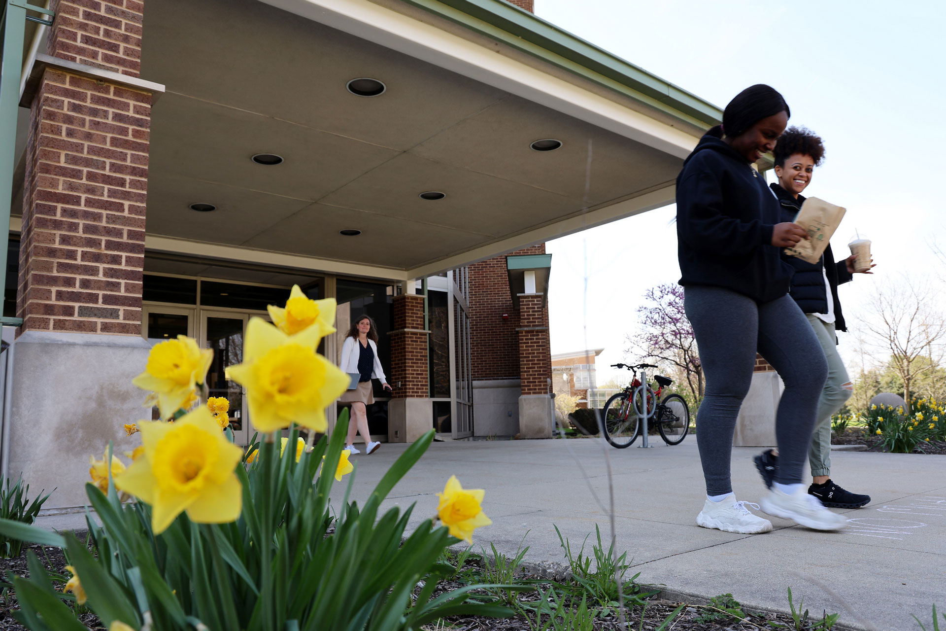 the daffodils outside of UHB with students walking out of the building in the background