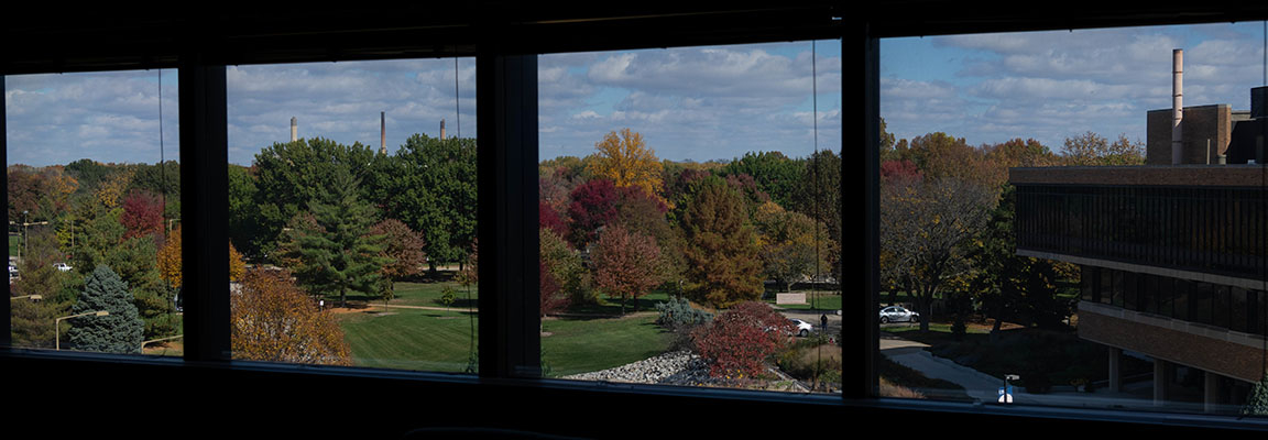 Fall leaves and Brookens Library through the windows in the Public Affairs Center