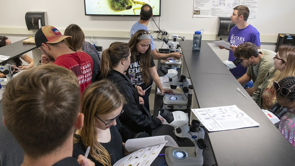 Students work with microscopes in a lab at the UIS Therkildsen Field Station at Emiquon.