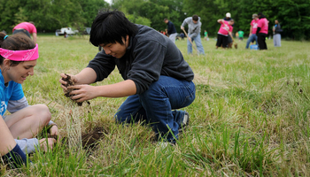 students planting trees