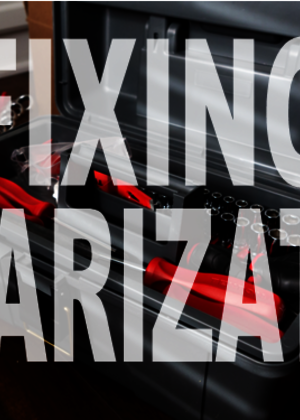 Polarization