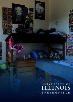 A dorm room is decorated with various posters, plush toys, and personal items arranged around a loft bed setup.