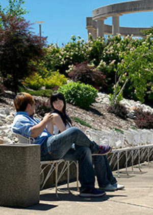 Couple sitting on a bench in a sunny, landscaped park.