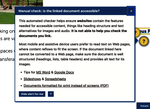 accessibility checker window showing a Manual Check to check accessible documents