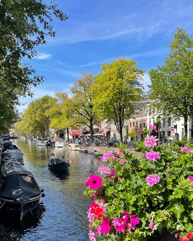 A river going through the center of a city, with pink flowers.