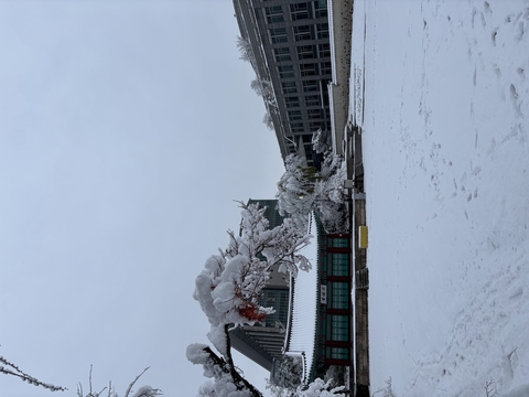 Snow covered building.