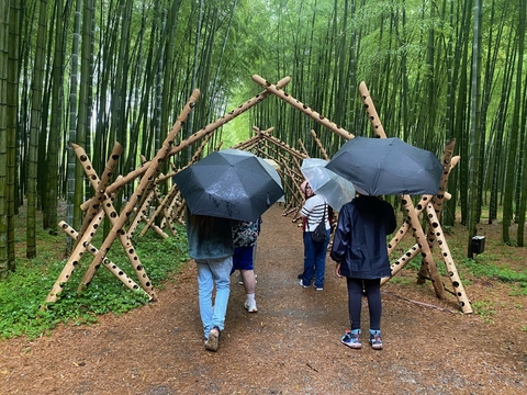 Student group walking through the bamboo forest on a rainy day