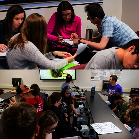 Photo Collage of students on a collaborative work. 