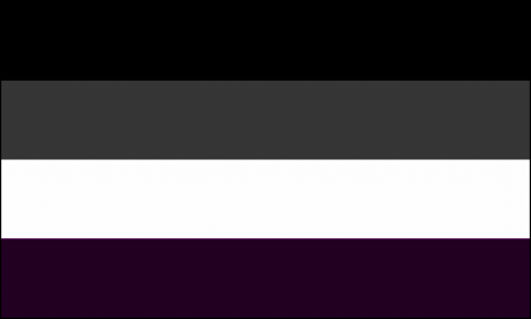 Asexual flag with black, grey, white, and purple bars