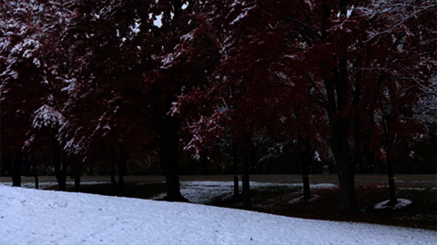 Campus snow