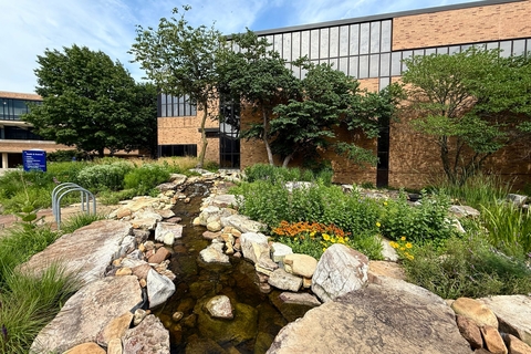 koi pond on campus