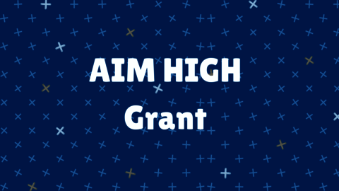 A link to the AIM HIGH Grant,