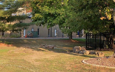 Rain garden