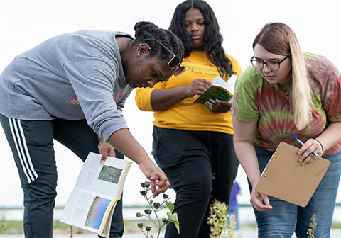 students doing field study