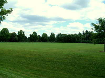 open field at UIS