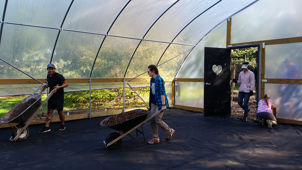 students bringing in soil to the UIS greenhouse