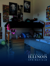 A dorm room is decorated with various posters, plush toys, and personal items arranged around a loft bed setup.