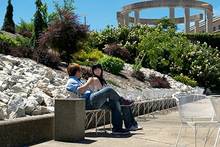 Couple sitting on a bench in a sunny, landscaped park.
