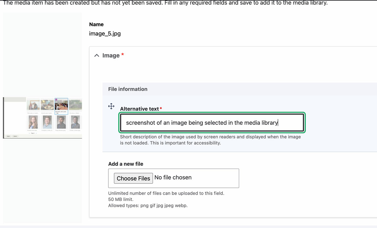screenshot of alt text being added to an image in the media library