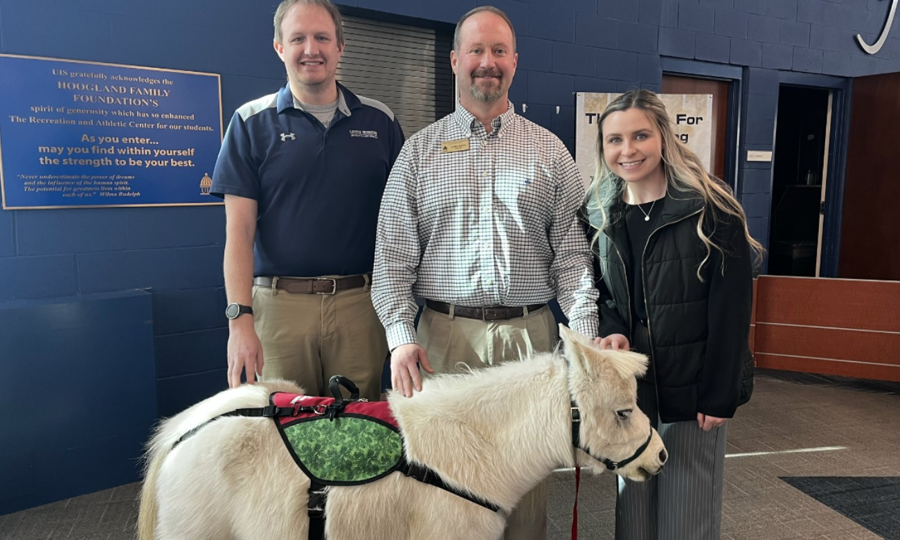 Miniature Therapy Horses