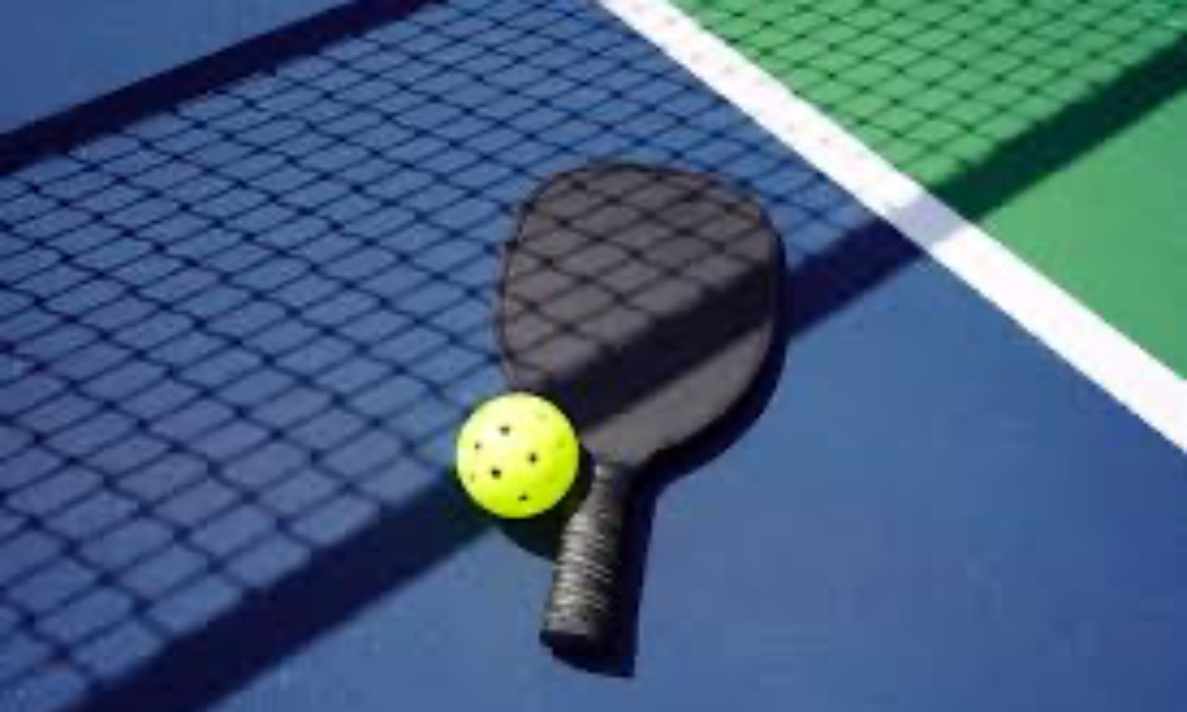 Welcome Back Pickleball Tournament