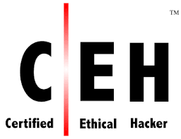 Certified ethical hacker