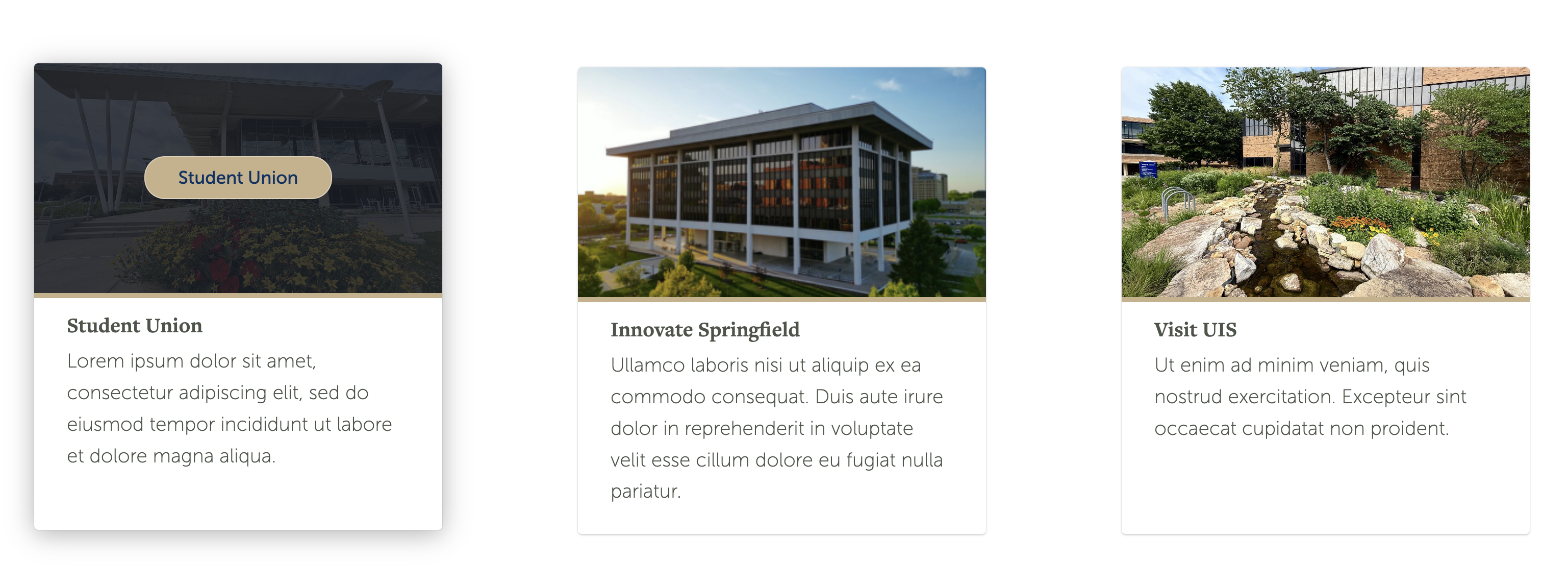screenshot of image cards with description block