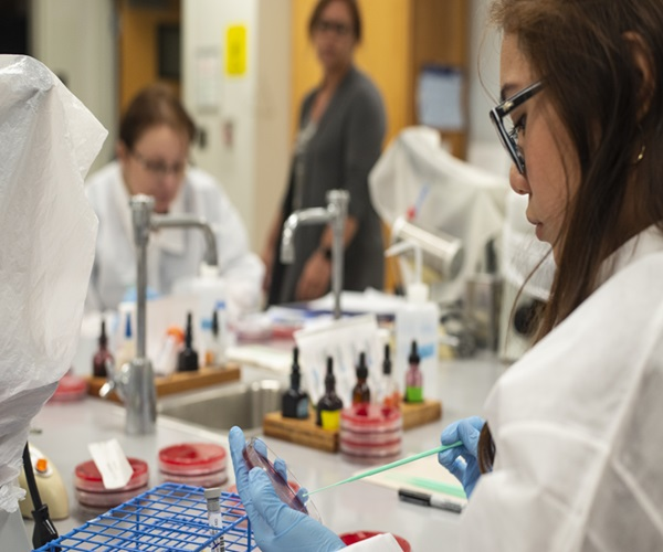 Person in a Medical Lab working.