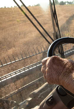 A famers hands on the steering wheel of a combine looking out a window.