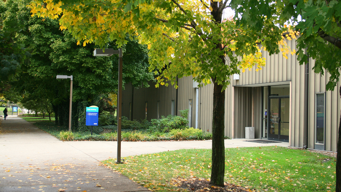 Pathway beside a building with green and yellow foliage.