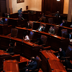 Illinois Senate Chambers