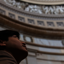 a person looking up into the dome of the Illinois Capitol Building