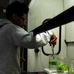 students in lab