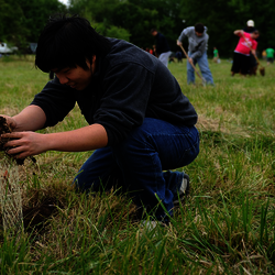 students planting trees