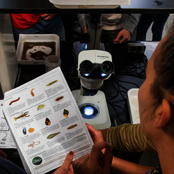 students with microscope