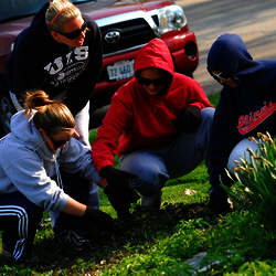 students working outside