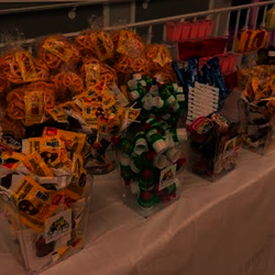 Fundraising for Baile Monarcas