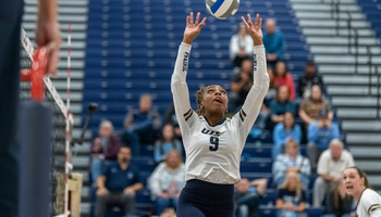 Erica Sledge setting the ball