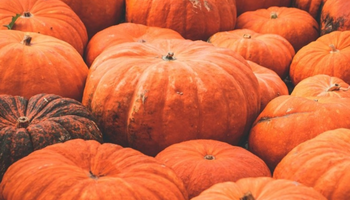 Pumpkin Carving Event