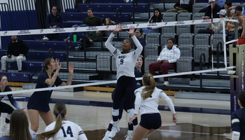 Setter Erica Sledge