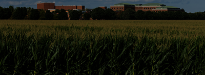 view of campus across corn field
