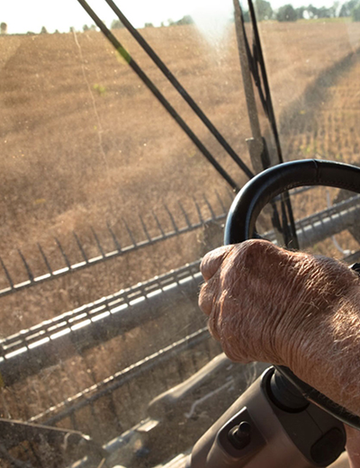 A famers hands on the steering wheel of a combine looking out a window.