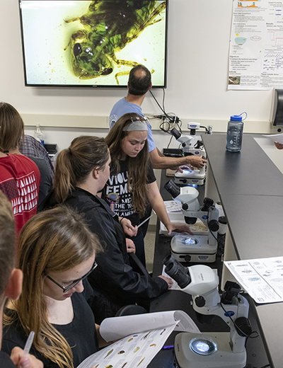 Students work with microscopes in a lab at the UIS Therkildsen Field Station at Emiquon.