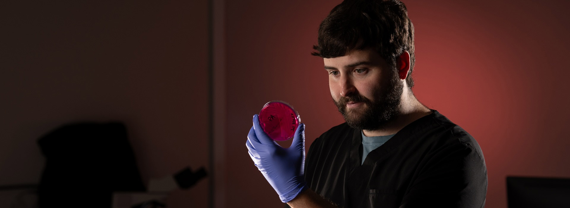 man looking at a prepped culture in a petri dish