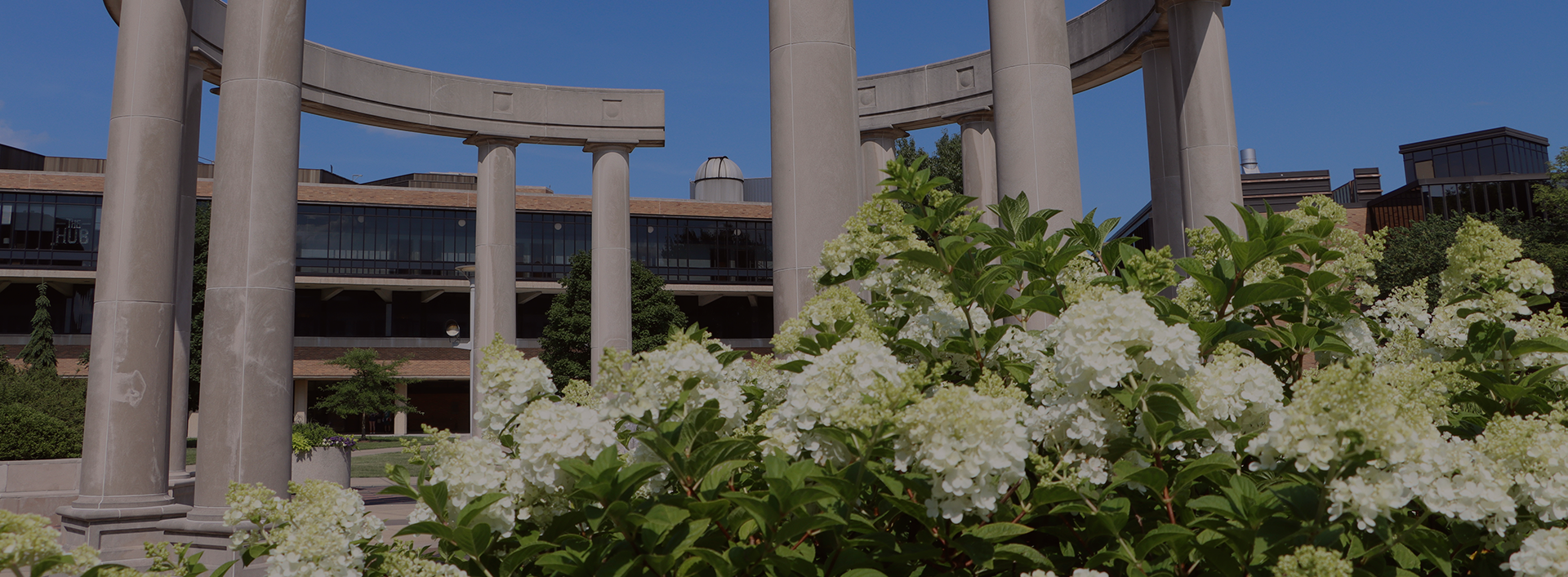 colonnade with hydrangea in foreground