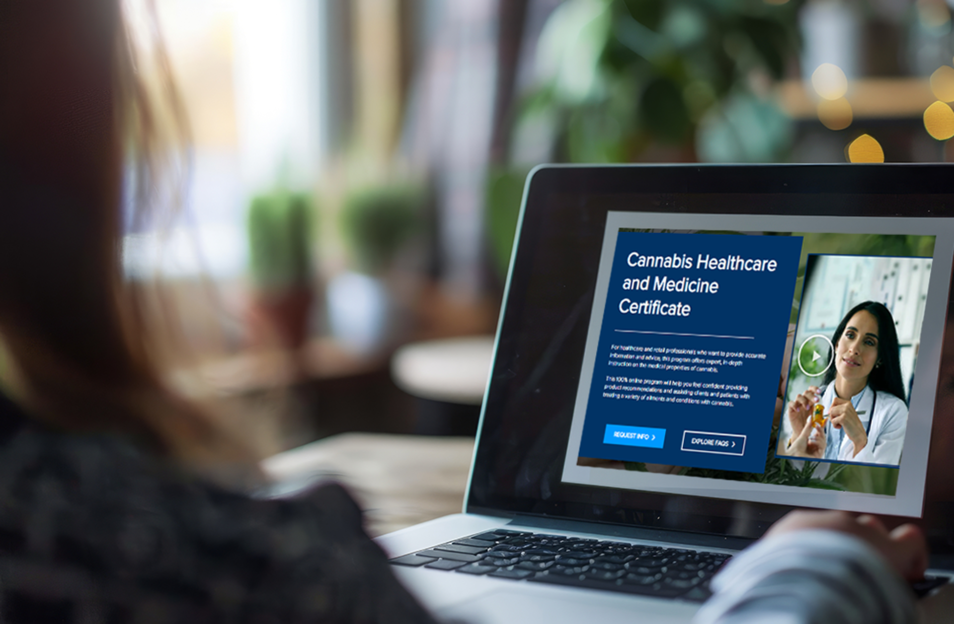 Woman looking at laptop screen with information about Cannabis Healthcare and Medicine Certificate