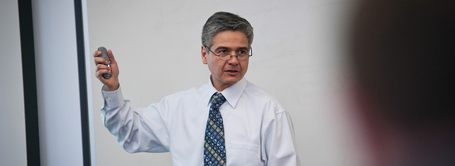 professor villegas